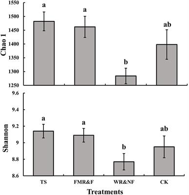 Sowing Methods Influence Soil Bacterial Diversity and Community Composition in a Winter Wheat-Summer Maize Rotation System on the Loess Plateau